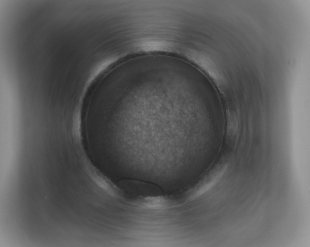 X0000110920391200906251422