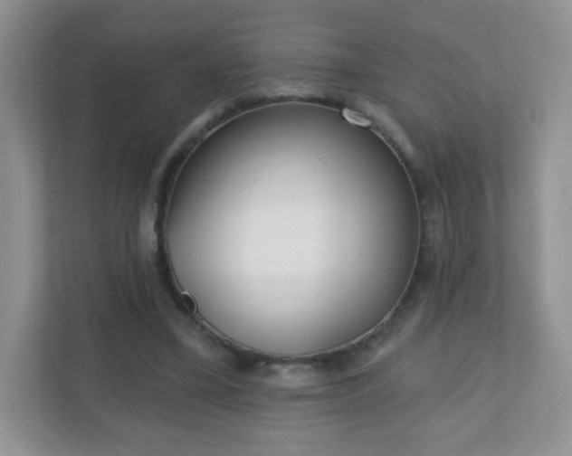 X0000110920395200906251422