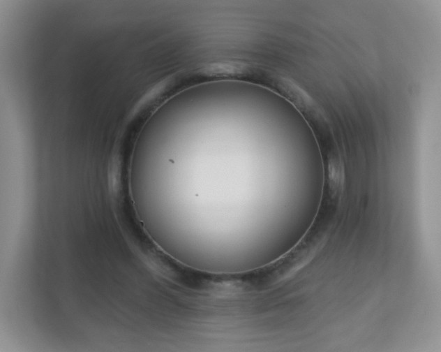 X0000110920396200906251422