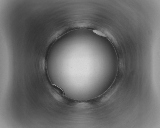 X0000110920397200906251422