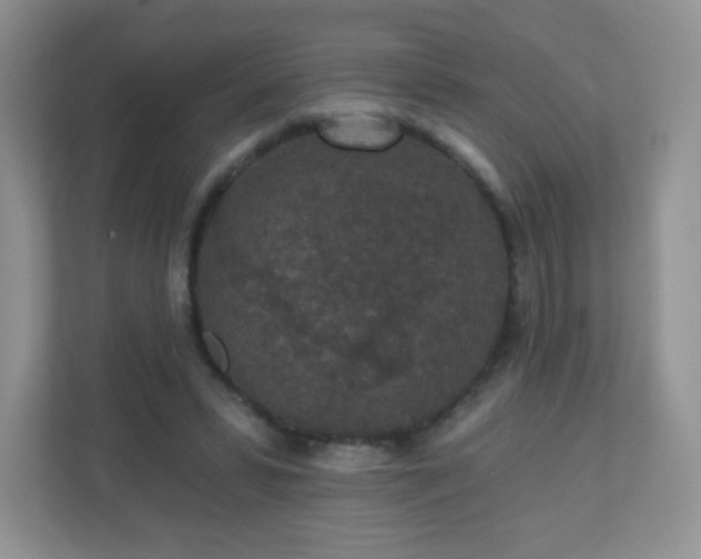 X0000110920399200906251422