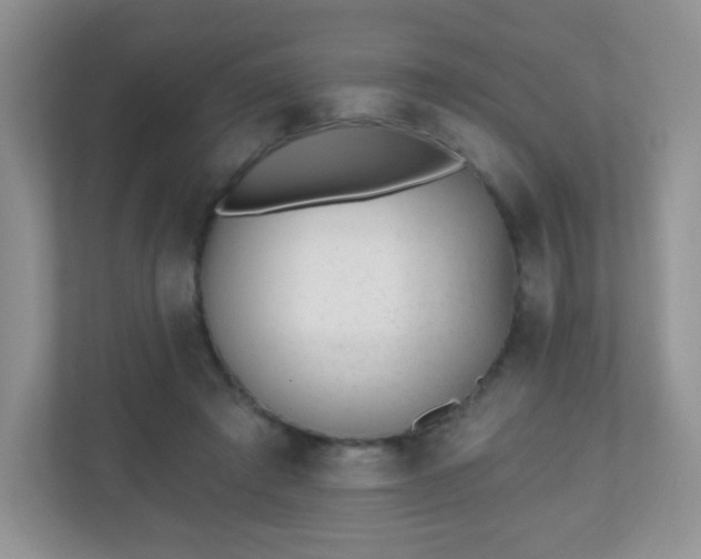 X0000110920401200906251422