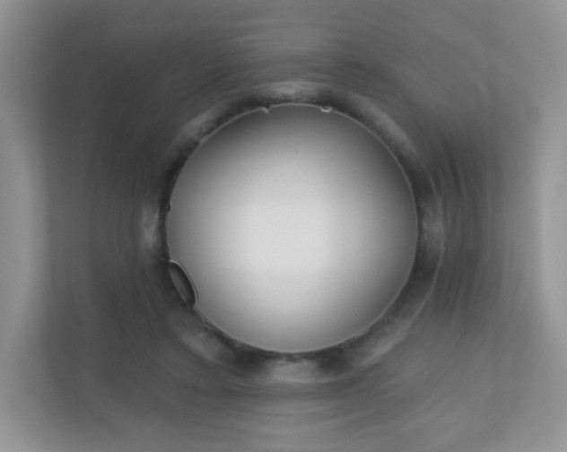 X0000110920403200906251422