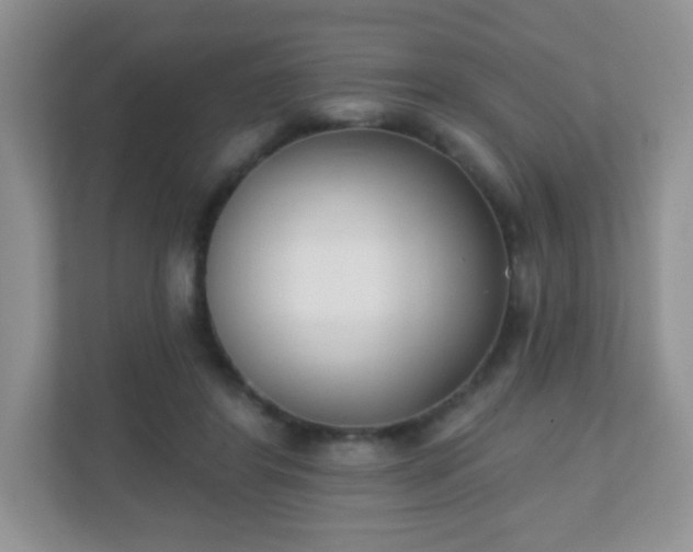 X0000110920404200906251422