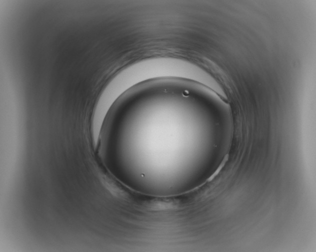 X0000110920405200906251422