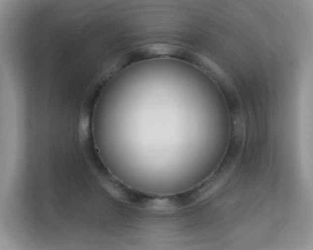 X0000110920406200906251422
