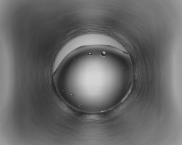 X0000110920409200906251422