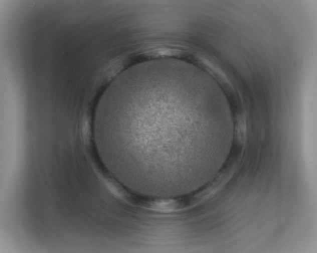 X0000110920410200906251422