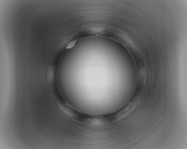 X0000110920412200906251422
