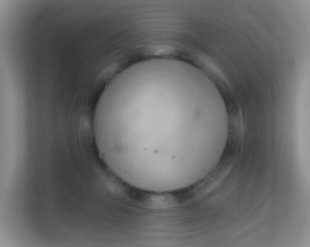X0000110920415200906251422