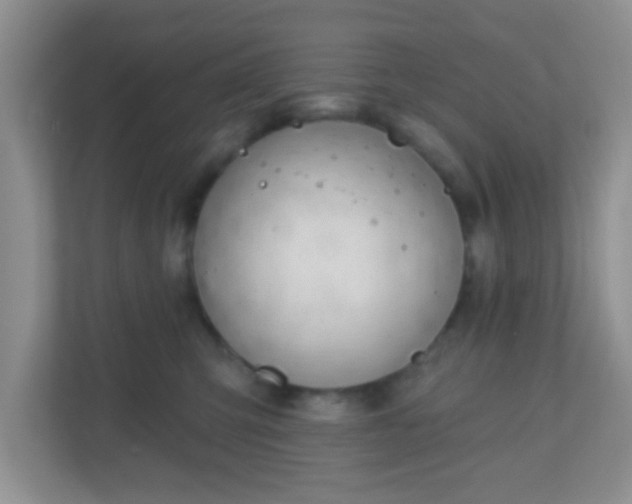 X0000110920423200906251422