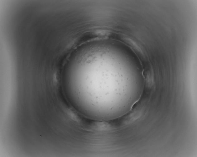 X0000110920424200906251422