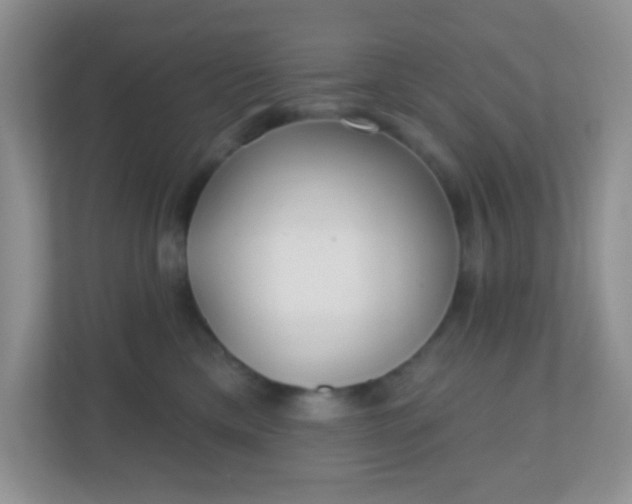X0000110920425200906251422