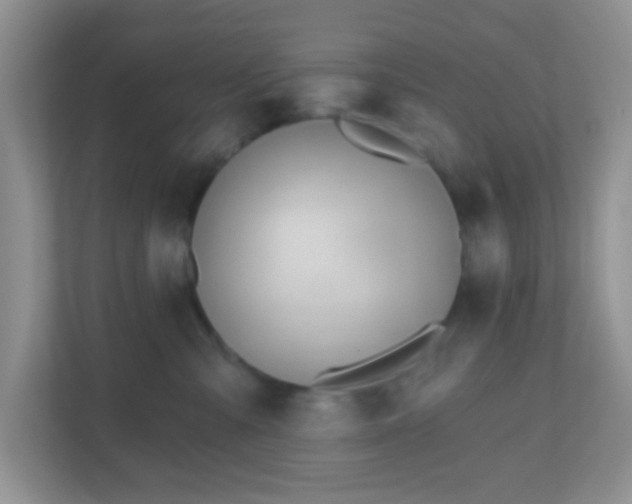 X0000110920427200906251422
