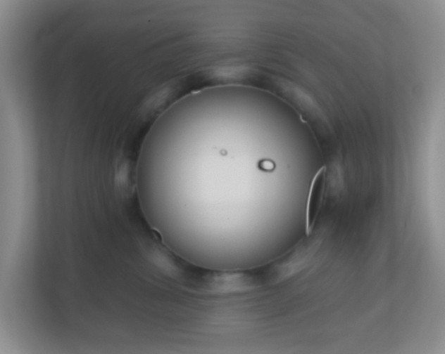 X0000110920428200906251422