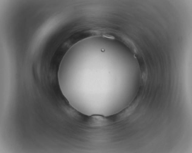 X0000110920429200906251422