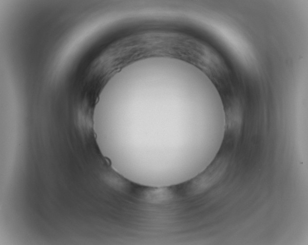 X0000110920431200906251422