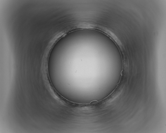 X0000110920433200906251421