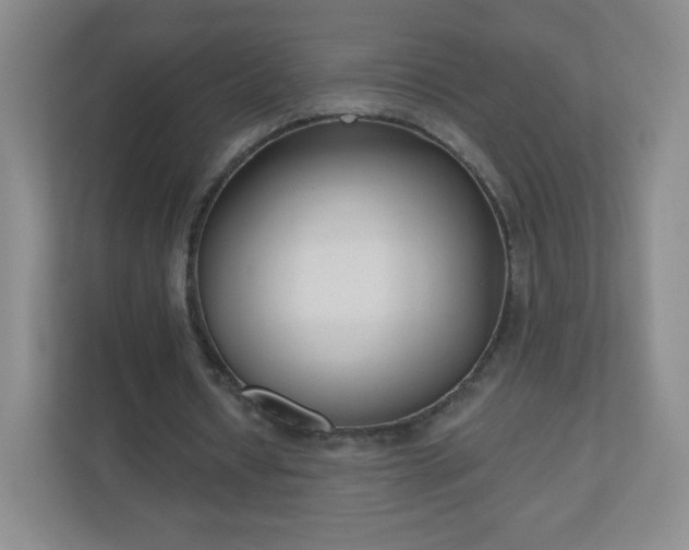 X0000110920434200906251421