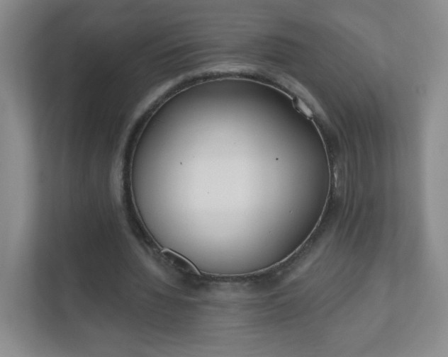 X0000110920436200906251421