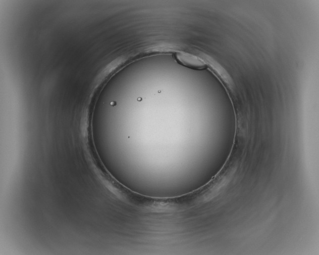 X0000110920437200906251421