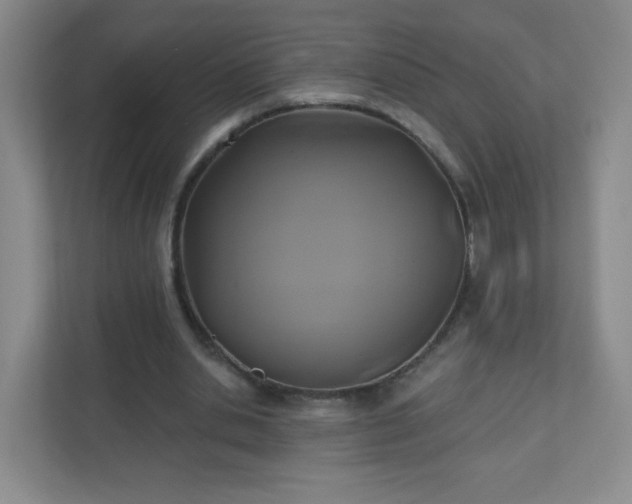 X0000110920438200906251421