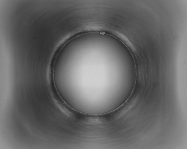 X0000110920439200906251421