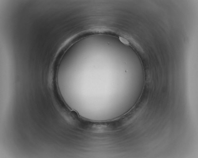 X0000110920440200906251421