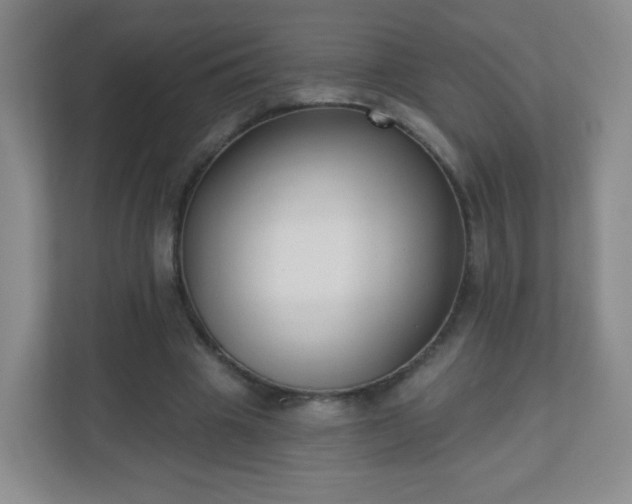 X0000110920441200906251421
