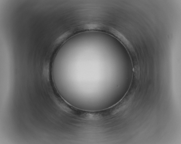 X0000110920442200906251421