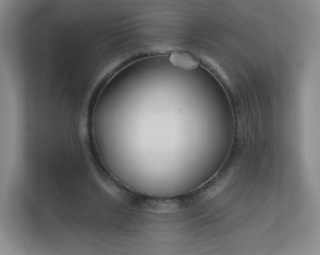 X0000110920443200906251421