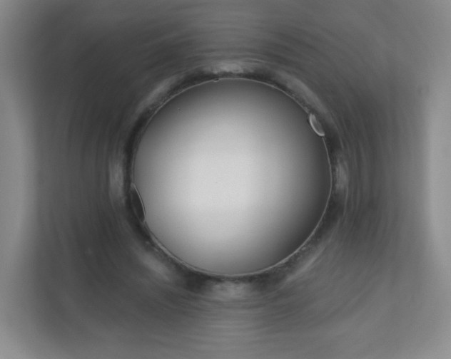 X0000110920444200906251421