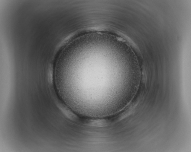 X0000110920446200906251421