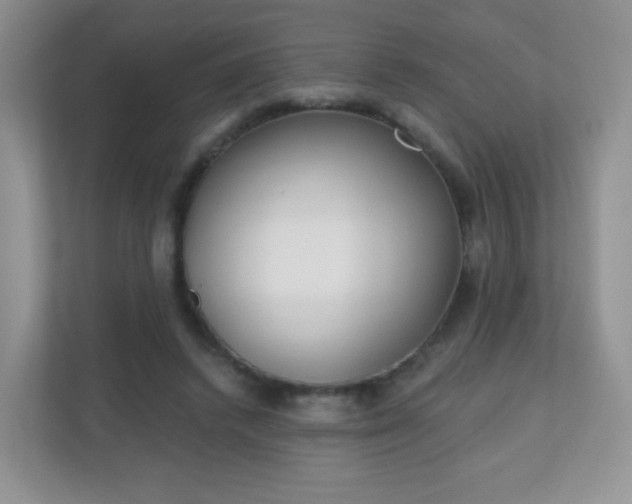 X0000110920448200906251421