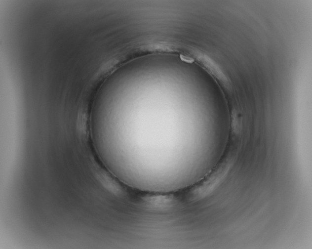 X0000110920449200906251421
