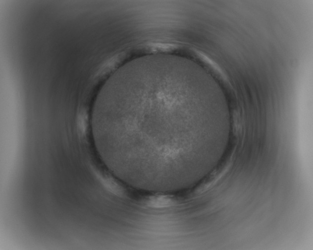 X0000110920451200906251421