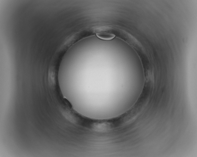 X0000110920452200906251421