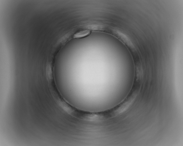 X0000110920453200906251421