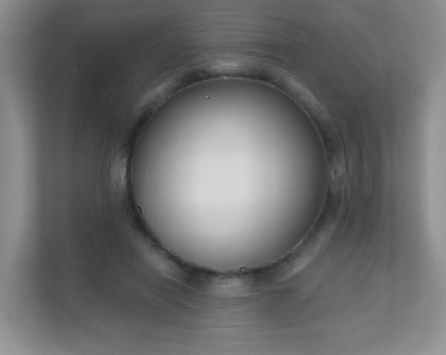X0000110920454200906251421