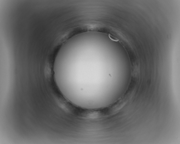 X0000110920456200906251421