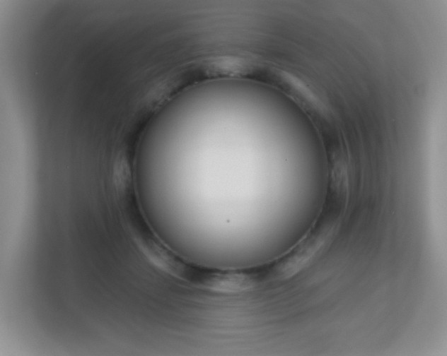 X0000110920459200906251421