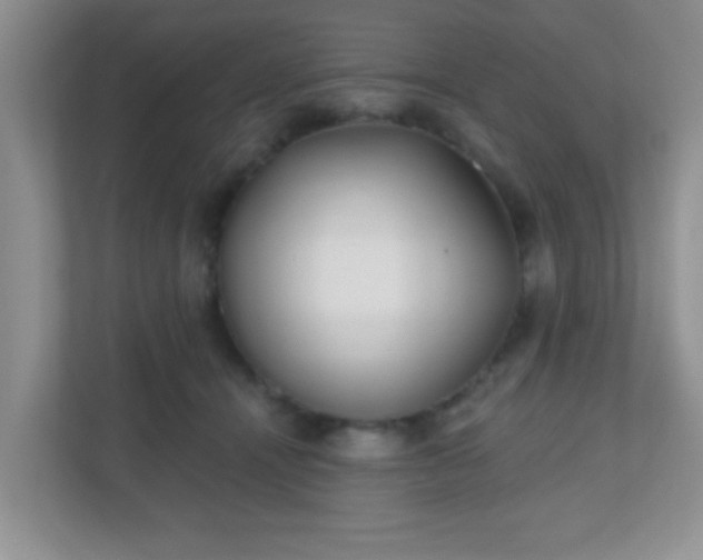 X0000110920464200906251421