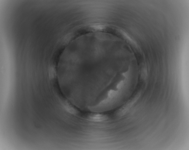 X0000110920467200906251421