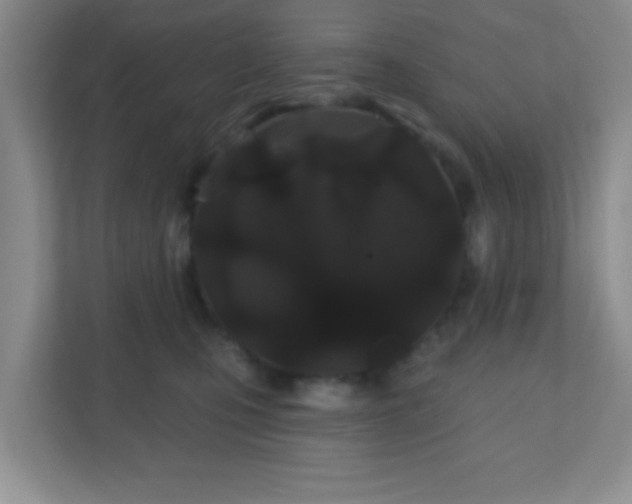 X0000110920471200906251422