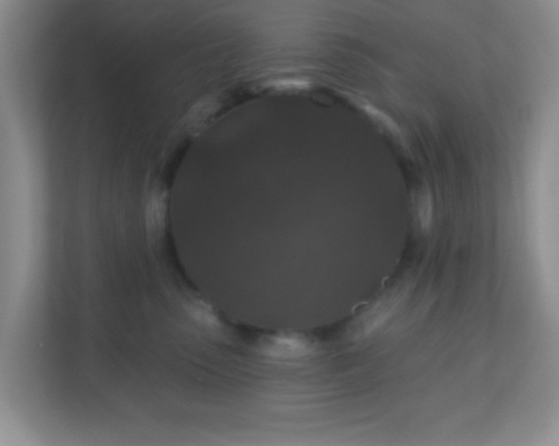 X0000110920475200906251422