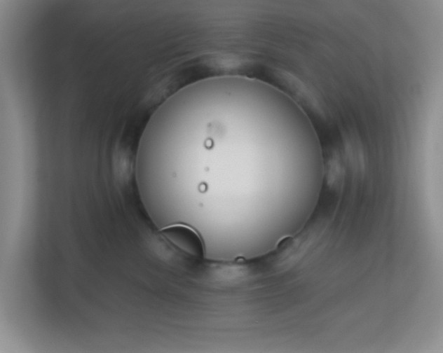 X0000110920476200906251422