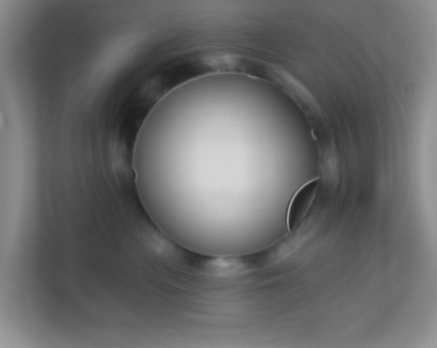 X0000110920477200906251422