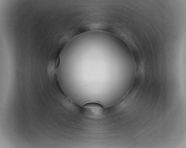 X0000110920478200906251422