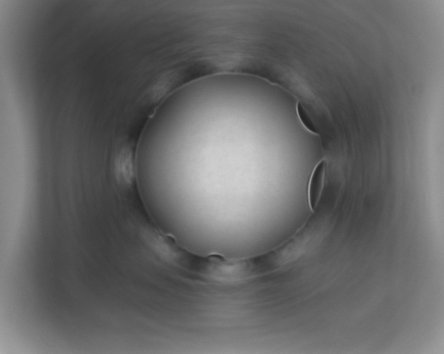 X0000110920479200906251422