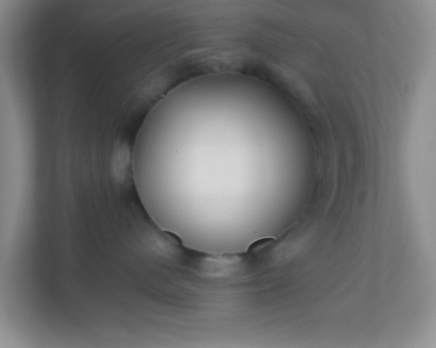 X0000110920480200906251422